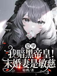 铠甲:我暗黑帝皇!未婚妻是敏慈