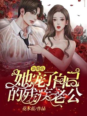 新婚夜,她宠了自己的残疾老公